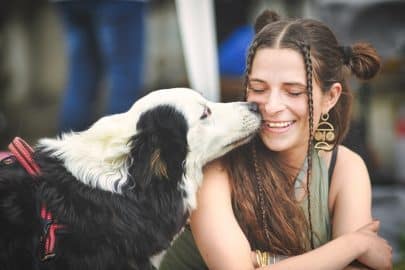 Australian shepherd dog kisses a girl