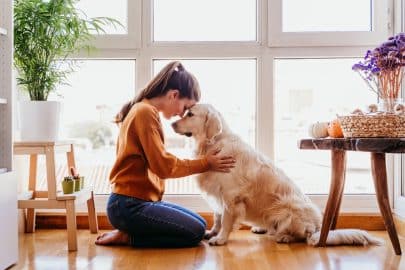 Therapiehonden: een bron van liefde en troost