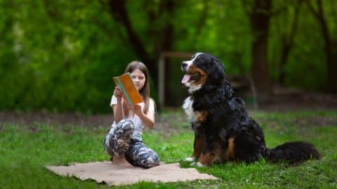 little girl kid reads book with large dog in park outdoors. kids and animals and dog therapy concept