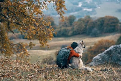 Honden en reizen: zo bereid je je viervoeter goed voor