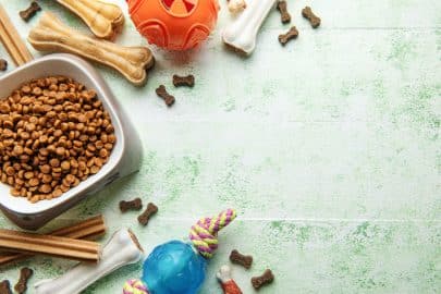 A bowl with dog food, dog treats and toys on a wooden floor.