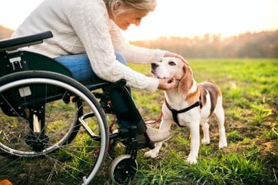 A senior woman in wheelchair with dog in autumn nature.