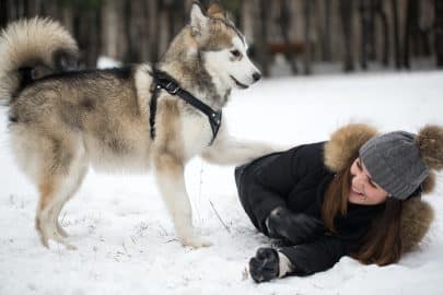 Beautiful girl in winter forest with dog. Play with the dog Siberian husky