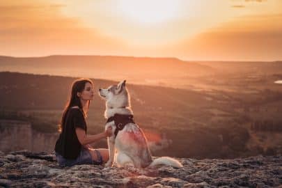 Beautiful girl plays with dog at sunset