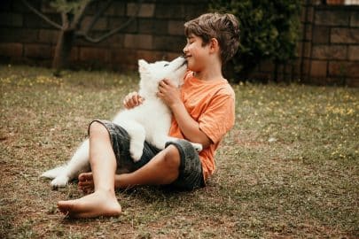 Child with a dog