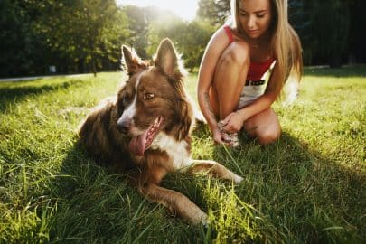 Close up of young female with her dog sitting on grass in park