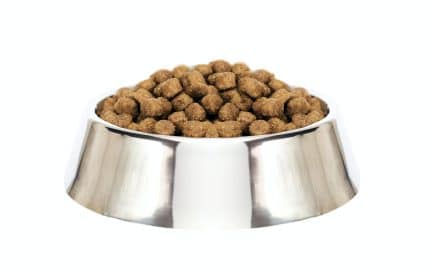 dog food isolated