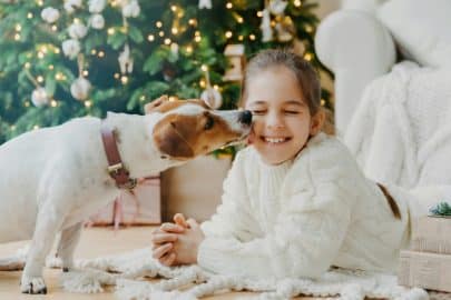 Dog licks child’s face have fun together pose on floor in cozy room against decorated fir tree