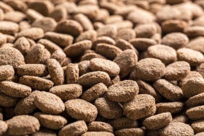 Dried dog food background