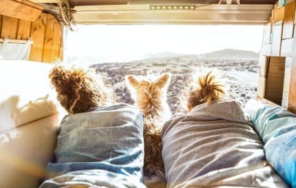 Hipster couple with cute dog traveling together on vintage van transport