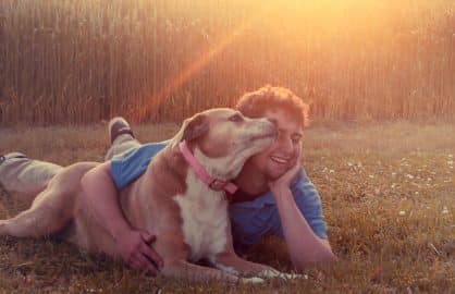 Senior dog licking her owner