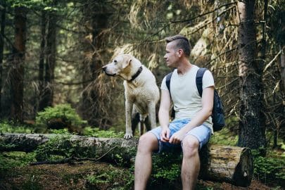 Tourist with dog in forest